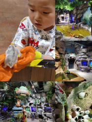 点击看大图 -宝燕乐园(闵行旗舰店)