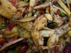 子姜蛙-呱呱兔庄