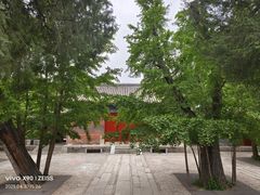 -承恩寺