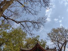 -莲湖公园