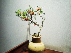 -枣子树·素食餐厅(普陀山店)