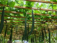 -中国天府农业博览园