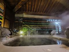 -中家鑫园温泉酒店鑫悦汤泉