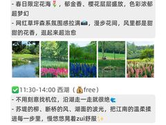-西湖文化广场