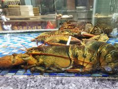 -海派美食·家宴海鲜青岛菜·石锅鲽鱼头(东方城店)