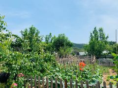 -丽泽山庄·生态怀柔菜·虹鳟鱼(红螺寺店)