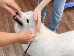 -荔康动物医院(康王北路店)