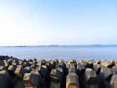 -上海滨江森林公园