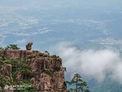 -黄山风景区