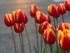 -Manner Coffee(芮欧百货店)