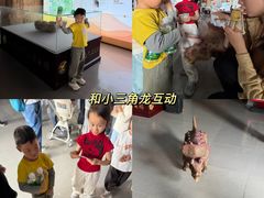 -中国西峡恐龙遗迹园