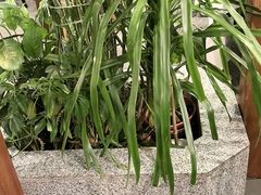 -沸腾鱼乡(知春路分店)