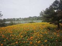 -池州市平天湖风景区