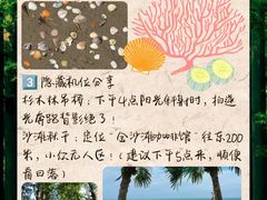 -日照海滨国家森林公园