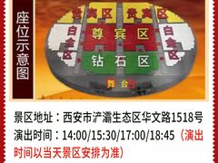 -《驼铃传奇》秀