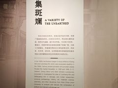 -四川大学博物馆