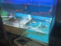 -面道赞宁海海鲜面(迎凤街店)