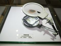 -上海昆虫博物馆