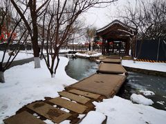 -三里河公园
