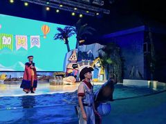 -三亚海昌梦幻海洋不夜城