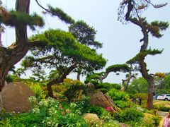 -罗红摄影艺术馆