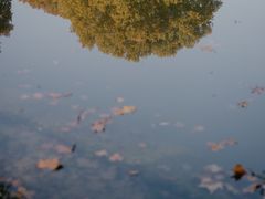 -河南省黄河迎宾馆