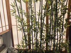 -桃夭日式料理(国信店)