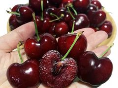 樱桃-百果园PAGODA(建业如意家园店)