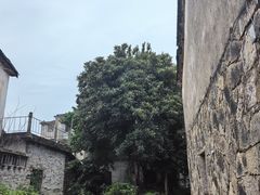 -皤滩古镇