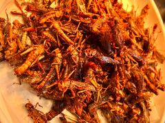 -川骄海鲜自助(亚运村店)