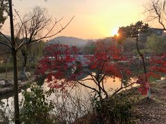 -白马涧龙池景区