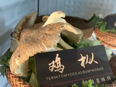 -爱膳菌锅锅(阳南店)