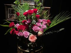 -弦月窗LUNETTE BY AMANDA(复兴路店)