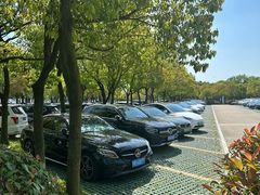 -溱湖国家湿地公园