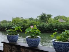 -无锡蠡湖国家湿地公园-蠡园