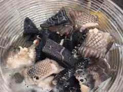 -荔城生鲜盛宴(番禺旗舰店)