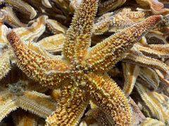 -红透天牛排海鲜自助(长和国际直营店)