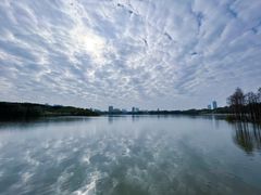 -海珠湖公园