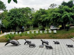 -广东惠东海龟国家级自然保护区