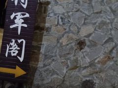 -安吉将军阁土菜馆(将军关漂流店)
