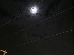 -先斗町卯柳