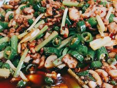 功夫兔-功夫兔