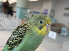 -怪兽屋·羊驼·猫咖·狗咖(俊华广场店)