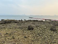 -养马岛旅游度假区