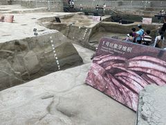 -金沙遗址博物馆