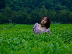 -中国茶叶博物馆(双峰馆区)