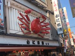 -蟹道乐(道顿堀本店)