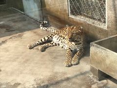 -西安秦岭野生动物园