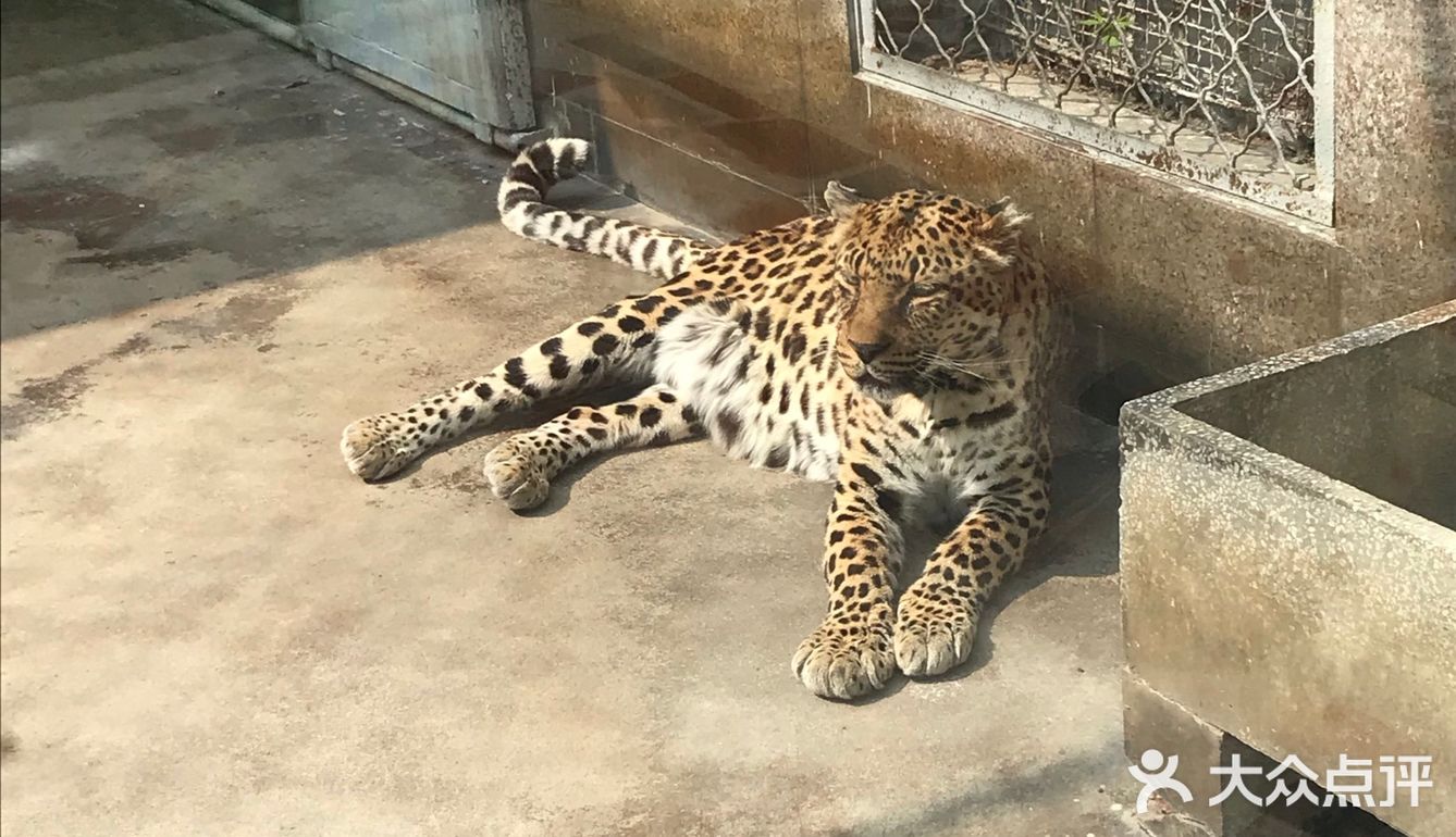 西安秦嶺野生動物園是集野生動物移地保護科普教育旅