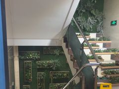 -海派美食·家宴海鲜青岛菜·石锅鲽鱼头(东方城店)